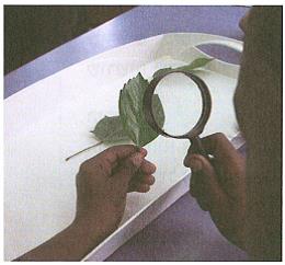 (בספר איור של ילד ולידו בועה שיש להשלים)